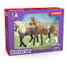 Schleich heste klub Paso Peruano 42738