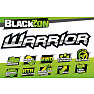 Blackzon warrior 1/12th 2wd electric truck