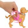 Barbie hundetur og træning