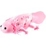 Pets Alive Swimming Axolotls – flere varianter - assorteret
