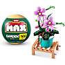 Max Build have planter - Phalaenopsis