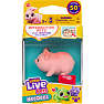Little Live Pets NeeDees - flere varianter - assorteret