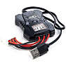 Blackzon warrior 1/12th 2wd electric truck