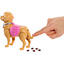 Barbie hundetur og træning
