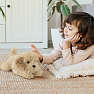 FAO Schwarz Cockapoo bamse