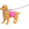 Barbie hundetur og træning