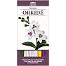 1conzept piberenserblomst - orkide