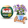 Max Build have planter - Gypsophila