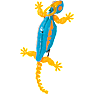 Hex Bots Wall Crawler chameleon - flere varianter - assorteret