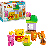 LEGO DUPLO Disney Peter Plys' fødselsdagsfest 10457