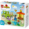 LEGO DUPLO By Pasning af bier og bistader 10419