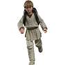 Star Wars Windfall