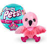 5 Surprises Plushy Pets