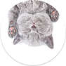 PopSockets - Cat Nap