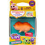 Little Live Pets NeeDees - flere varianter - assorteret