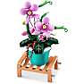 Max Build have planter - Phalaenopsis