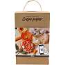 Crepepapirblomster læringssæt - flere farver