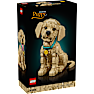 LEGO Icons Golden Retriever hvalp 11384