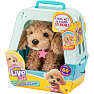 Little Live Pets Really Real Puppy Cavoodlen Curley