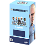 Minix Manchester City figur - Haaland