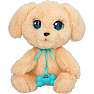 Baby paws labrador bamse 