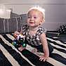 Baby Einstein legetøjsbil