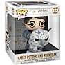 Funko POP! Harry Potter 20 cm - Harry Potter & Buckbeak