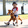 Push pony grace