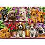 Schmidt Puzzles hunde puslespil 500 brikker