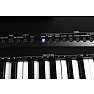 Bryce Music Keyboard 88 keys (Black)