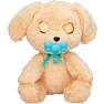 Baby paws labrador bamse 