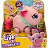Little Live Pets - Piggly