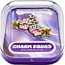 FAO Schwarz charm - Besties