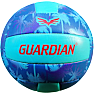 Guardian beach volley