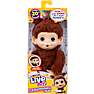 Little live pets mini abe bamse
