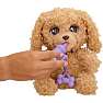 Baby paws labradoodle bamse 25 cm