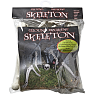 Halloween skelet dele