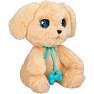Baby paws labrador bamse 