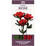 1conzept piberenserblomst - rose