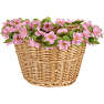 Blomsterkrans til cykelkurven - lyserød blomst