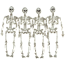 Halloween små skeletter 14 cm 4 pak - hvid