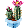 LEGO Botanicals blomstrende kaktus 11509