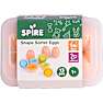 Spire Shape sorter æg