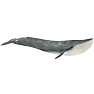 Schleich Blue whale