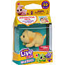 Little Live Pets NeeDees - flere varianter - assorteret