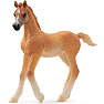 Schleich araberføl 13984