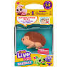 Little Live Pets NeeDees - flere varianter - assorteret