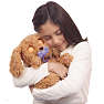 Baby paws labradoodle bamse 25 cm