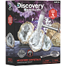 Discovery krystal Geode Excavation