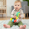 Lamaze larve rangle